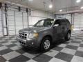 2010 Sterling Grey Metallic Ford Escape Limited V6  photo #3