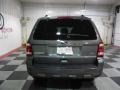 2010 Sterling Grey Metallic Ford Escape Limited V6  photo #6