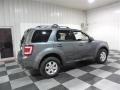 2010 Sterling Grey Metallic Ford Escape Limited V6  photo #7