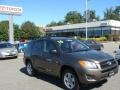 Pyrite Metallic - RAV4 I4 4WD Photo No. 1