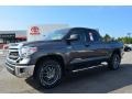 Magnetic Gray Metallic 2014 Toyota Tundra SR5 TRD Double Cab Exterior