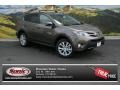 Pyrite Mica - RAV4 Limited AWD Photo No. 1