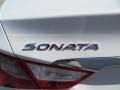 Shimmering White - Sonata GLS Photo No. 18