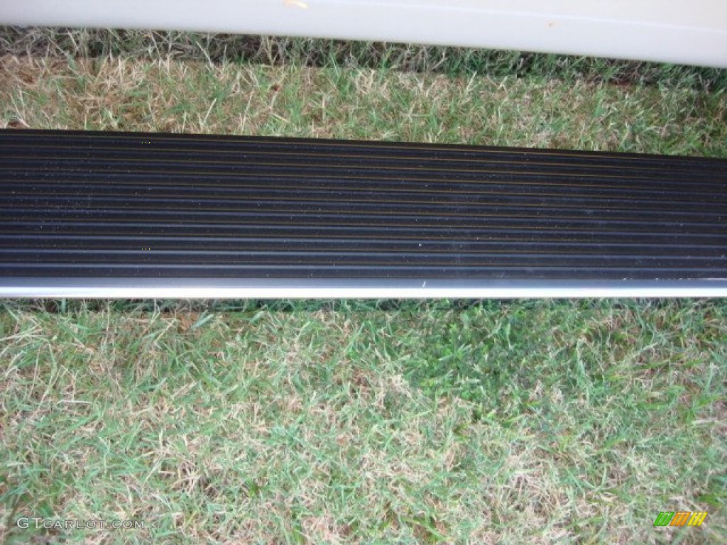 2010 F150 Platinum SuperCrew - Ingot Silver Metallic / Medium Stone Leather/Sienna Brown photo #15