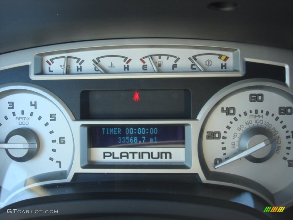 2010 F150 Platinum SuperCrew - Ingot Silver Metallic / Medium Stone Leather/Sienna Brown photo #19
