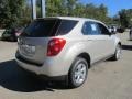 Champagne Silver Metallic - Equinox LS AWD Photo No. 7