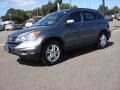 Polished Metal Metallic - CR-V EX-L Photo No. 2