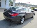 Pacific Blue Pearl - Sonata GLS Photo No. 9