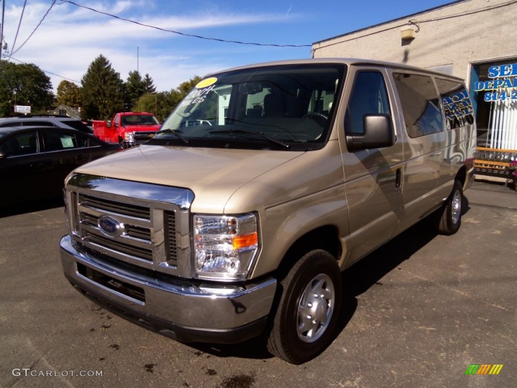 2013 E Series Van E350 XLT Passenger - Pueblo Gold Metallic / Medium Pebble photo #4