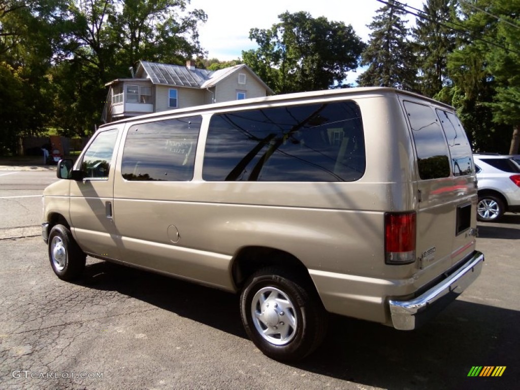 2013 E Series Van E350 XLT Passenger - Pueblo Gold Metallic / Medium Pebble photo #6