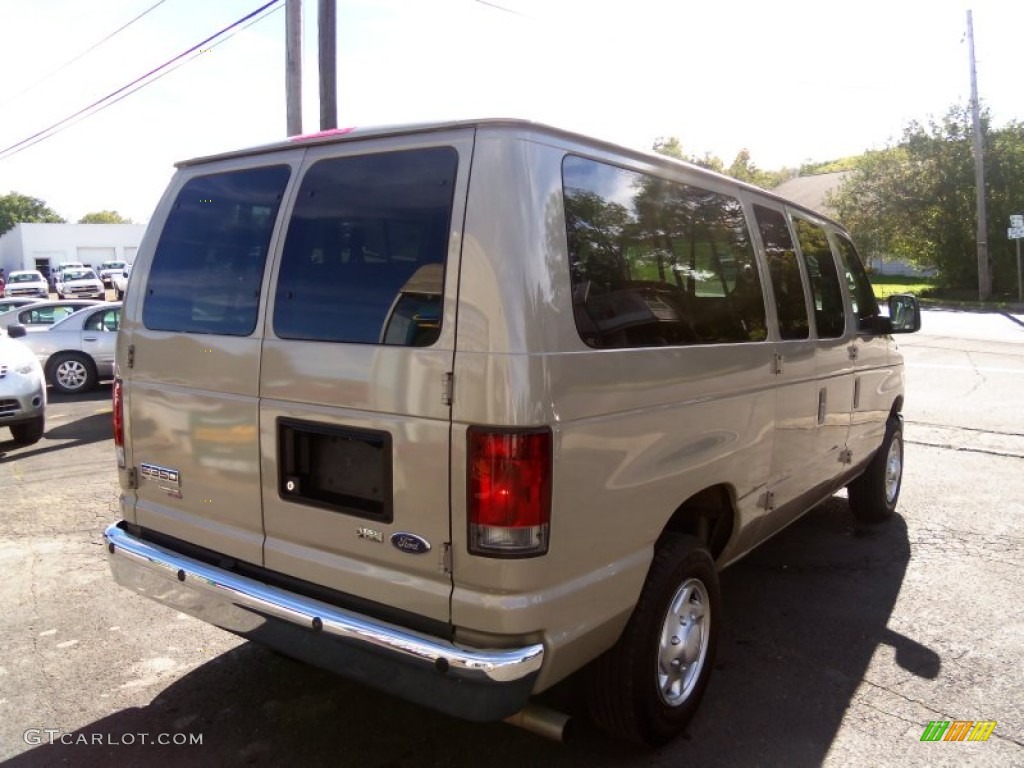 2013 E Series Van E350 XLT Passenger - Pueblo Gold Metallic / Medium Pebble photo #10