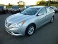 Radiant Silver - Sonata GLS Photo No. 3