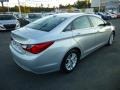 Radiant Silver - Sonata GLS Photo No. 7