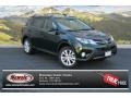 Spruce Green Mica - RAV4 Limited AWD Photo No. 1