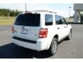 White Suede - Escape XLT V6 Photo No. 5