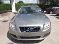 Seashell Metallic 2010 Volvo V70 3.2 Exterior