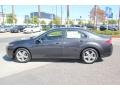 Graphite Luster Metallic - TSX Technology Photo No. 5