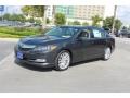 Graphite Luster Metallic - RLX Advance Package Photo No. 3