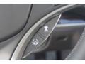 Graphite Luster Metallic - RLX Advance Package Photo No. 29