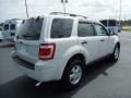 2009 White Suede Ford Escape XLT V6  photo #9