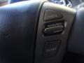 Platinum Graphite - QX 56 4WD Photo No. 14