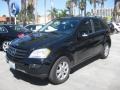 Black - ML 350 4Matic Photo No. 5