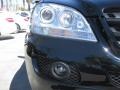 Black - ML 350 4Matic Photo No. 23