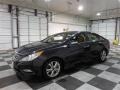 2011 Pacific Blue Pearl Hyundai Sonata Limited  photo #4