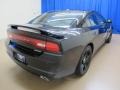 Pitch Black - Charger R/T Mopar '11 Photo No. 9