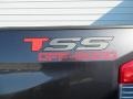 2014 Magnetic Gray Metallic Toyota Tundra TSS Double Cab  photo #15