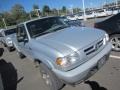 Platinum Frost Metallic - B-Series Truck B3000 Cab Plus 4x4 Photo No. 2