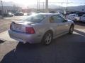 2004 Silver Metallic Ford Mustang GT Coupe  photo #10