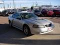 2004 Silver Metallic Ford Mustang GT Coupe  photo #12
