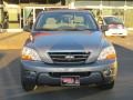 Alpine Gray - Sorento LX 4x4 Photo No. 2