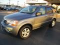 Alpine Gray - Sorento LX 4x4 Photo No. 3