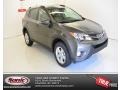 Magnetic Gray Metallic - RAV4 XLE Photo No. 1
