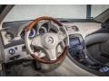 Stone Interior Photo for 2009 Mercedes-Benz SL #86213150