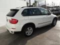 Alpine White - X5 xDrive35d Photo No. 6