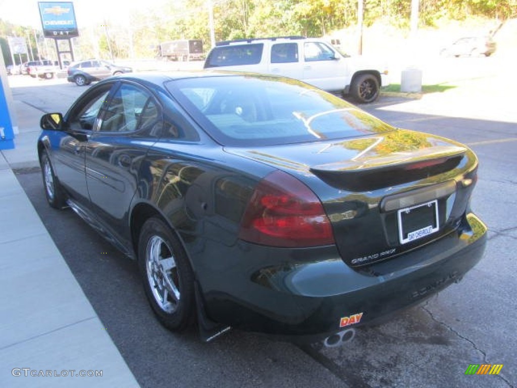 2004 Grand Prix GT Sedan - Polo Green Metallic / Parchment/Dark Pewter photo #6