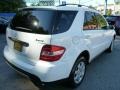 Alabaster White - ML 350 4Matic Photo No. 13