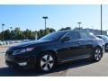 Ebony Black - Optima Hybrid Photo No. 6
