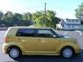 2008 Gold Rush Mica Scion xB   photo #10