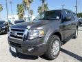 Sterling Gray 2014 Ford Expedition XLT