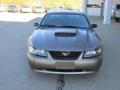 2001 Mineral Grey Metallic Ford Mustang GT Coupe  photo #3