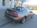 2001 Mineral Grey Metallic Ford Mustang GT Coupe  photo #8