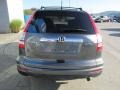 2010 Polished Metal Metallic Honda CR-V EX AWD  photo #8