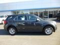 2013 Ashen Gray Metallic Chevrolet Equinox LS AWD  photo #8