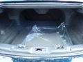 2014 Lincoln MKS Light Dune Interior Trunk Photo