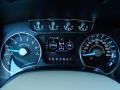 King Ranch Chaparral Leather Gauges Photo for 2013 Ford F150 #86245244