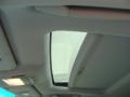 2010 Tungsten Silver Pearl Lexus RX 350 AWD  photo #20
